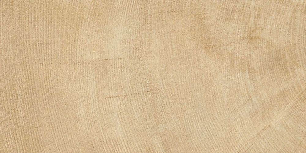 PZ1590G01WS 木紋磚 - W-AGE 年輪